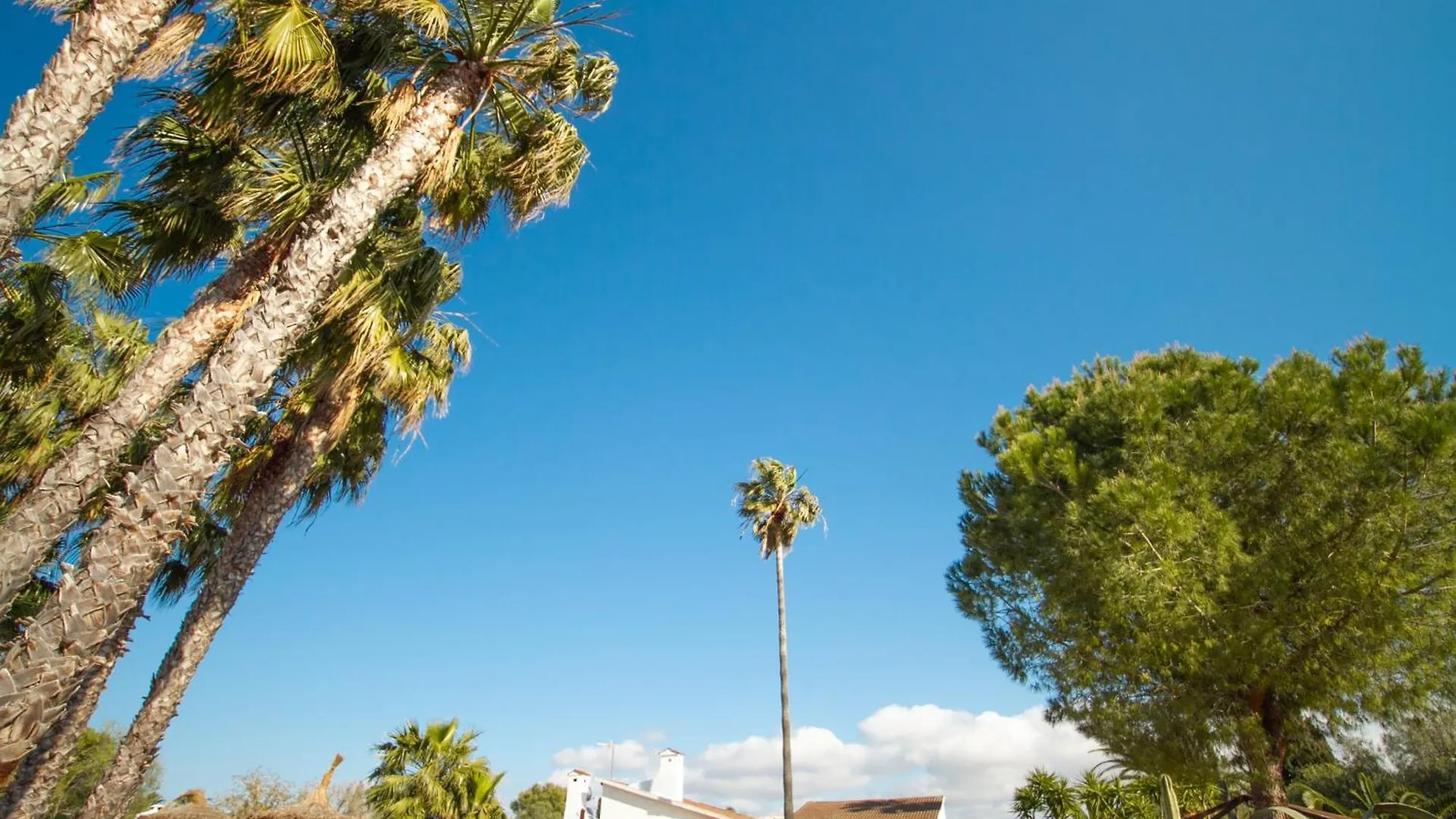 Villa Aladin Resort Lujo La Aranjasa إسبانيا